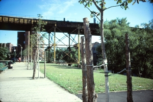 WFR Park Circa 1981